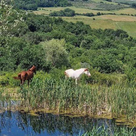 La Rugiada Bauernhof *